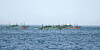 Chinese fishing vessels sail north in the East Sea on May 2. [KOREA COAST GUARD]