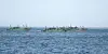 Chinese fishing vessels sail north in the East Sea on May 2. [KOREA COAST GUARD]
