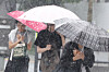Pedestrians cover themselves with umbrellas against the rain in Jongno District, central Seoul, on Sept. 17, 2025. [YONHAP]