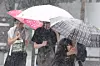 Pedestrians cover themselves with umbrellas against the rain in Jongno District, central Seoul, on Sept. 17, 2025. [YONHAP]