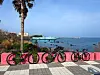 The seafront just north of Jeju International Airport provides the first photo opportunity on April 3. [JIM BULLEY]