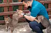 Wolf pups behave playfully like puppies toward their keeper at Daejeon’s O-World zoo in on June 3, 2020. [YONHAP]