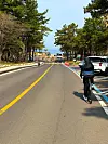 Riding toward the sea somewhere near Aewol in Jeju on April 3. [JIM BULLEY]