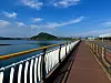 Riding across the water to the Seongsan Ilchulbong stamp booth on April 5. [JIM BULLEY]