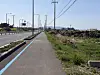 A painted blue line keeps cyclists on track in Jeju on April 5. [JIM BULLEY]