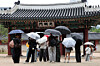 A group of visitors holding umbrellas walks around Deoksu Palace in Jongno District, central Seoul, on May 20. [YONHAP]