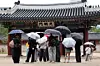 A group of visitors holding umbrellas walks around Deoksu Palace in Jongno District, central Seoul, on May 20. [YONHAP]