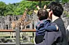 A family looks at giraffes at the Seoul Zoo in Seoul Grand Park at Gwacheon, Gyeonggi, on May 5. [YONHAP]