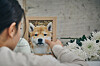 A person looks into a photo of a late dog in a commemorative space. [GETTY IMAGES]