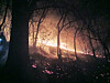 Smoke and flames rise from a mountainside in Hamyang County, South Gyeongsang, on Feb. 21. [NEWS1]