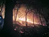 Smoke and flames rise from a mountainside in Hamyang County, South Gyeongsang, on Feb. 21. [NEWS1]