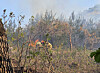 Fire authorities contain a fire in Gangwon on April 21. [GANGWON STATE FIRE HEADQUARTERS]