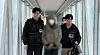 The Chungnam Provincial Police repatriates a member of a scam ring based in Cambodia and Thailand that targeted Korean victims to Korea on April 28. [CHUNGNAM PROVINCIAL POLICE]