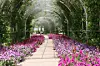 A rose tunnel at the International Horticulture Goyang Korea 2026, running in Ilsan Lake Park in Goyang, Gyeonggi, from April 24 through May 10 [YONHAP]