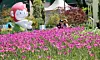 Flowers for the International Horticulture Goyang Korea 2026, running in Ilsan Lake Park in Goyang, Gyeonggi, from April 24 through May 10 [YONHAP]