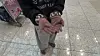 An airport refugee wears wool gloves against the cold inside the terminal. [JOONGANG ILBO]