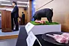 Cho Yong-min, the director general of the National Institute of Animal Science, holds a briefing on the commercialization achievements of a pork breed called “Nanchuk Matdon,” developed from native Jeju black pigs, at the Sejong government complex on March 18. [YONHAP]