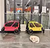 A dog cafe owned by Lee Sang-ah has prepared dog strollers so customers can place their pets in them while inside the cafe. [SCREEN CAPTURE]
