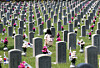 A person reads a tombstone at the Seoul National Cemetery in Dongjak District, southern Seoul, on June 22, 2025. [YONHAP]