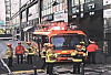 Personnel from fire authorities are deployed to capture wild boars in Sejong on May 7. [SEJONG CITY GOVERNMENT]