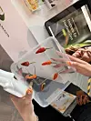 The top three peppers in this box were treated with Life Guards' coating spray, while the ones in the lower row were left untreated. [SARAH CHEA]