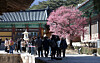 People visit Tongdo Temple, one of the eight temples that will be offering temple stays to BTS fans coming to Busan for the band's concert, on Feb. 19. [YONHAP]