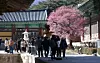 People visit Tongdo Temple, one of the eight temples that will be offering temple stays to BTS fans coming to Busan for the band's concert, on Feb. 19. [YONHAP]
