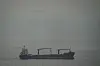 A cargo ship carrying vehicles sails through the Persian Gulf toward the Strait of Hormuz on March 22. [AP/YONHAP]