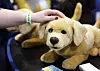 A robot dog is on display at CES 2026 Unveiled, held at the Mandalay Bay Convention Center in Nevada, on Jan. 4. [YONHAP]