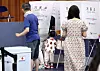 Eligible voters vote for the 2026 local elections in Songpa District, southern Seoul, on June 3. [YONHAP]