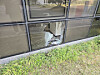 A window is destroyed after wild boars crashed into the facility in Sejong on April 15. [JOONGANG ILBO]