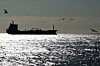 The silhouette of the oil and chemical tanker Habip Bayrak sails off the Gulf of Fos-sur-Mer, in Port-de-Bouc, France, March 12. [REUTERS/YONHAP]