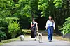 Pet owners and their dogs are seen taking a walk at Everland in Yongin, Gyeonggi, on June 18, 2025. [NEWS1]