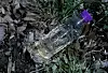 A bottle filled with water from the Salmokji reservoir in Yesan County, South Chungcheong, is pictured in this photo uploaded on a Naver blog on April 14. [SCREEN CAPTURE]