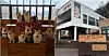 A group photo of dogs at a pet-friendly cafe, left, and a view of the cafe run by a business owner [JOONGANG ILBO]