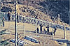 North Korean soldiers are spotted while installing barbed wire fence along the inter-Korean border in a photo provided by the South Korean Joint Chiefs of Staff. [R.O.K JOINT CHIEFS OF STAFF]