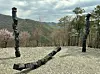 Ten-meter-long (32.8-foot-long) bronze 'Brushstroke' sculptures are scattered throughout Museum SAN's Stone Garden as part of the artist Lee Bae's solo show 'En attendant: Waiting' in Wonju, Gangwon, on April 6. [LEE JIAN]