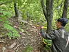 Workers spray a biological control agent called BTI to control lovebug larvae near the summit of Mount Gyeyang in Incheon on May 6. [HEO JEONG-WON]