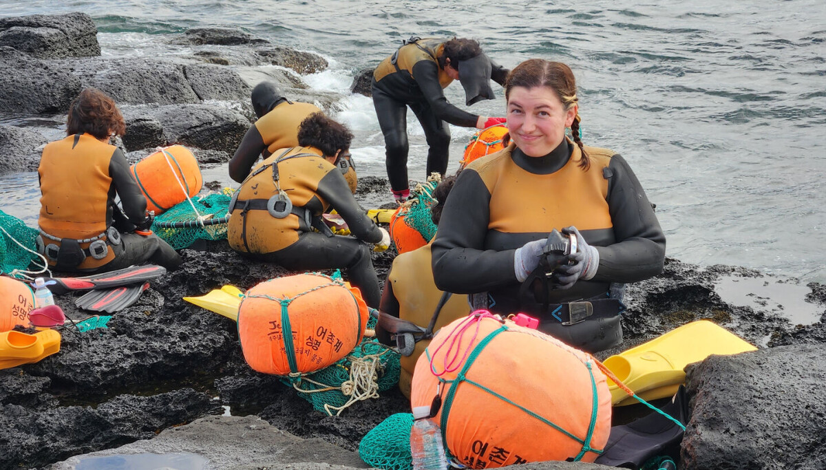 Jeju haenyeo Kylie Genter in a black wetsuit and mask mid-dive underwater harvesting shellfish off the coast of Yeongrak-ri village Jeju Island representing the working UNESCO Intangible Cultural Heritage of Humanity haenyeo tradition preserved by the village fishing cooperative