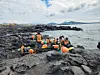 Haenyeo of Yeongrak-ri village on the west coast of Jeju Island preparing to dive into the sea a mix of veteran divers in their 70s and newly registered younger members walking together to the shoreline before muljil harvest session in modern black wetsuits with orange taewak floats