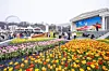 Everland's signature tulip festival held at Four Seasons Garden [EVERLAND]