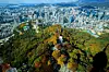 Mount Namsan [NEWS1]