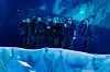 A group of performers standing on a blue-lit stage behind draped fabric.
