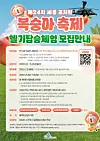 A poster of Jochiwon Peach Festival that recruits applicants who aspire to ride Black Hawk helicopter