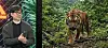 Split image of a man in a studio and a tiger walking through greenery.