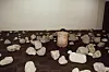 Dozens of rocks scattered on a dark floor with a small carved stone marker near the center of a plain room.