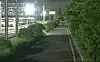 A suspect of vandalism is seen fleeing in a camera footage.