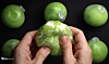 A person smashes a wakkpu ball in a YouTube video with at least five more wakkpu balls in wait to be crashed in background.