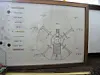 Framed technical diagram of the TRIGA Mark II research reactor on a wall.