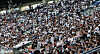 A packed baseball stadium crowd fills the stands, many wearing white shirts and cheering during a game.